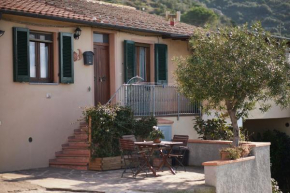 Casa con terrazza vista mare Isola d'Elba